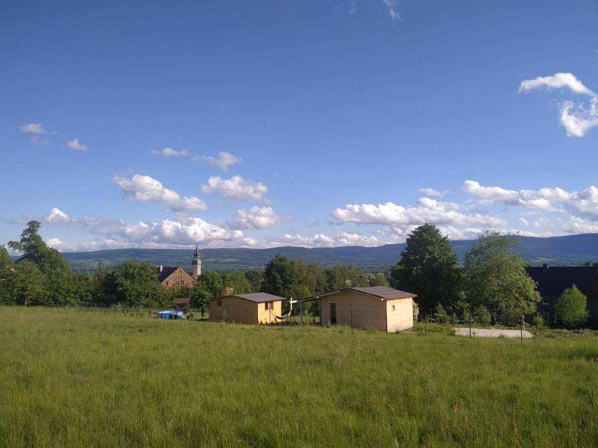 Domek W Gorach Izerskich 4 I 6 Osobowy, Agroturystyka, Zywe Zwierzeta, W Pelni Wyposazone, Plac Zabaw Dla Dzieci, Ognisko Z Kijkami I Rusztem, Ogrzewanie I Klimatyzacja, Latem Basen Mirsk Exteriér fotografie