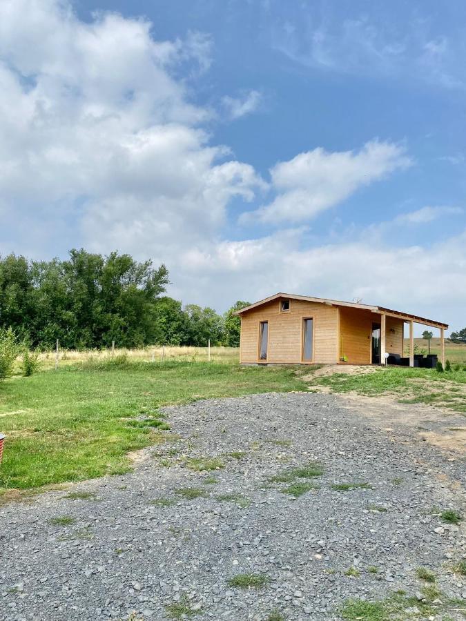 Domek W Gorach Izerskich 4 I 6 Osobowy, Agroturystyka, Zywe Zwierzeta, W Pelni Wyposazone, Plac Zabaw Dla Dzieci, Ognisko Z Kijkami I Rusztem, Ogrzewanie I Klimatyzacja, Latem Basen Mirsk Exteriér fotografie