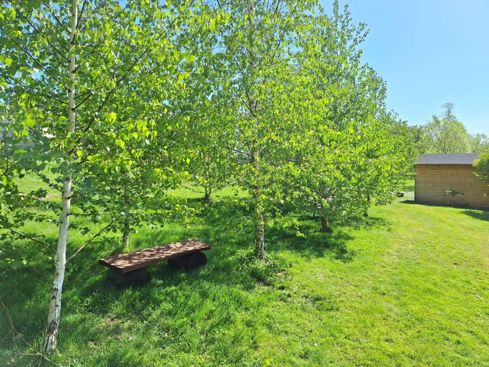 Domek W Gorach Izerskich 4 I 6 Osobowy, Agroturystyka, Zywe Zwierzeta, W Pelni Wyposazone, Plac Zabaw Dla Dzieci, Ognisko Z Kijkami I Rusztem, Ogrzewanie I Klimatyzacja, Latem Basen Mirsk Exteriér fotografie